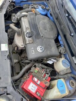 lupo