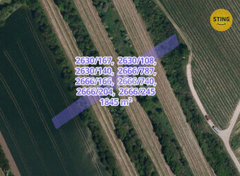 Prodej pozemků - orná půda, vinice, 133579