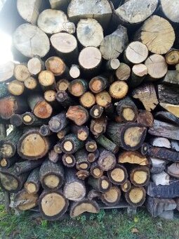 Palivové dřevo suché tvrdé