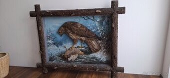 Půlvycpavky ptáků -ptaci v obrazech