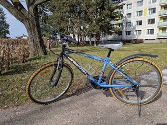 Dětské kolo Leader Fox Buffalo 24ˇˇ