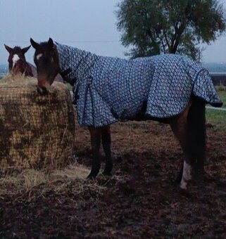 Výběhová deka s krkem 150g, 135cm