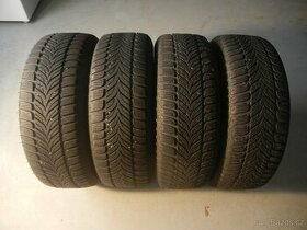 Zimní pneu Sava 205/65R15 - 1