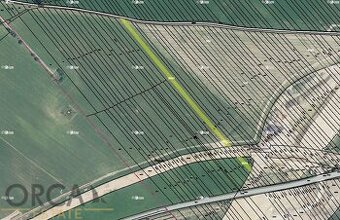 Spoluvlastnický podíl na orné půdě 593 m2 v k.ú. Nedakonice - 1