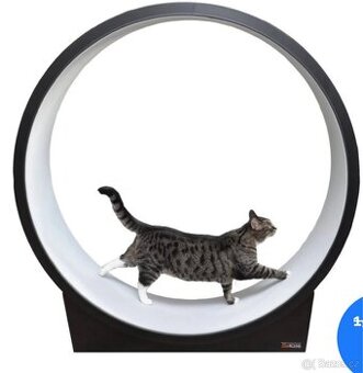 CAT Round