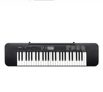 Casio CTK 240