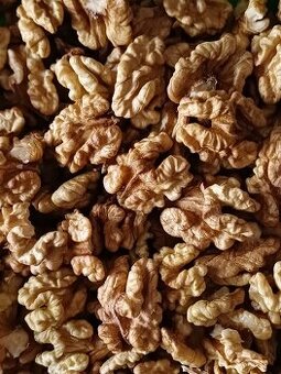 letošní vlašské ořechy loupané