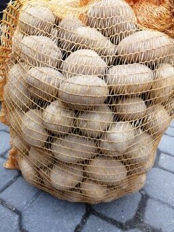 Prodám brambory na uskladnění