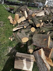 Dřevo jasan lipa cena dohodou