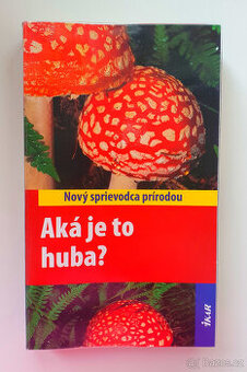 Jaká je to houba?