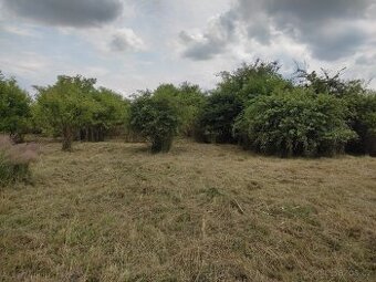 Prodej stavebního pozemku se zahradou v obci Kozomín