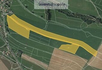 Prodej pole v k.ú. Roztoky u Jilemnice