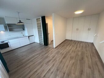 Ihned volné Zrekonstruované 1kk/L, 42m2, v Krči, Murgašova