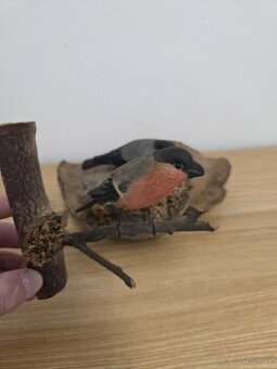 Starožitný ručně vyrezavany ptáčci (viechtauer?)