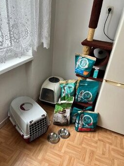 PŘEPRAVKA PRO KOČKY, TOALETA PRO KOČKY A DALŠÍ