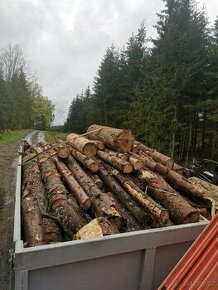 Palivové dřevo měkké smrk 700kc/prm - 1