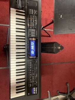 Roland gw 8