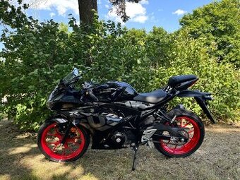 Suzuki GSXR 125