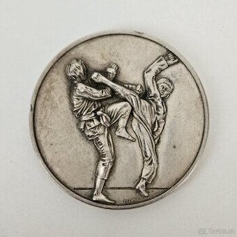 STŘÍBRNÁ MEDAILE KARATE - PLASTICKÁ