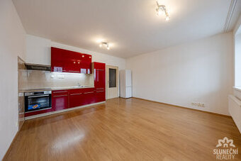 Pronájem bytu 1+kk s vyhrazeným parkovacím stáním, 31 m², Uh
