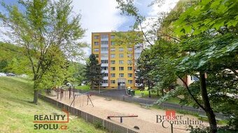 Převod dr. podílu, byty/3+1, 76.5 m2, Krušnohorská 1661, 431