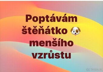 Štěňátko menšího vzrůstu 🐶