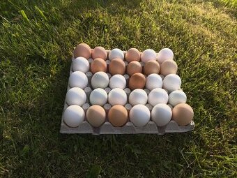🥚 Domácí vejce z volného chovu 🐔
