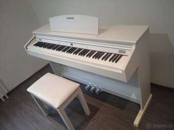 Prodám čili vyměním za Yamahu psr a nebo Korg pa 600
