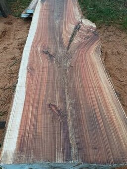 Jilmové fošny, členité, nádherná kresba