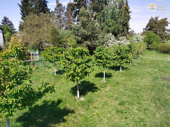 Prodej zahrady 600 m2 - HK, Svinary