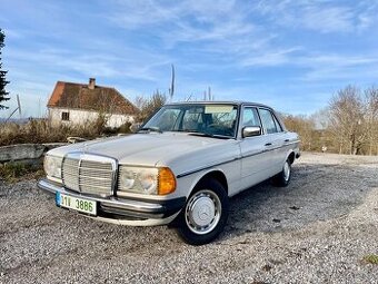 Mercedes benz w123 250