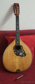 Celomasivní mandocello Cremona - 1