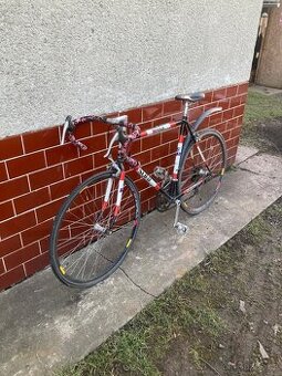Kolo f1