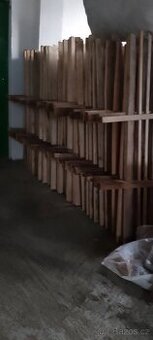 lesní oplocenky - 1
