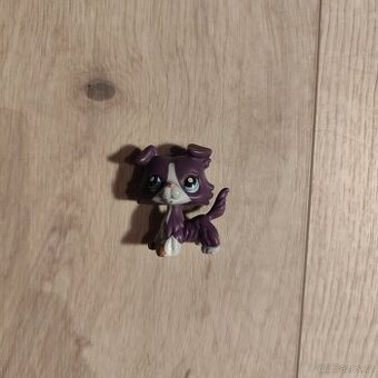 Lps kolie