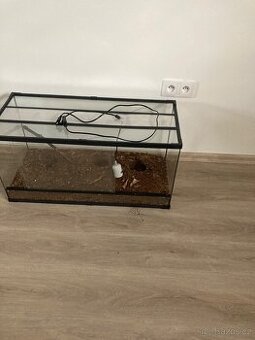 Terarium