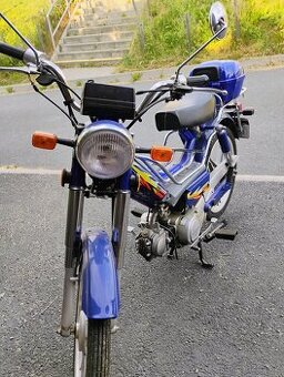 Betka jawa