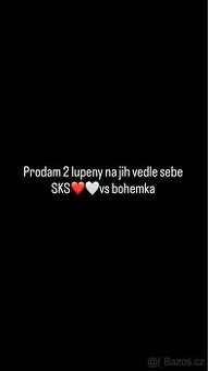 Slavia vs Bohemians 2 lístky na jih vedle sebe