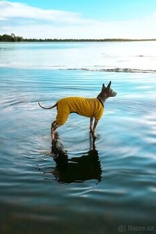 Teplá psí bavlněná mikina, svetr, hořčicový obleček 🐾 délka