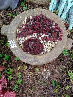 Pískovcový květináč