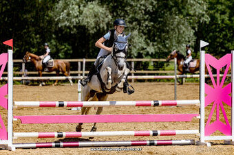 Sportovní pony kategorie B