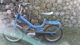 Atala Rizzato Babetta