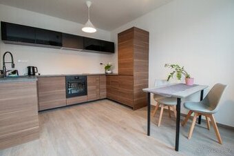 krásný byt 2+KK, 45m2 v ul. Perucká, Praha 2 - Vinohrady