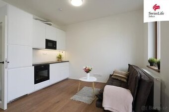 Pronájem bytu 1+kk 32 m2 Lumírova, Praha