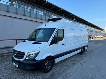 Pronájem mrazáku MB Sprinter 313cdi