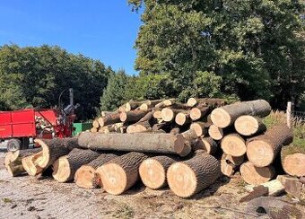 Palivové dřevo tvrdé suché