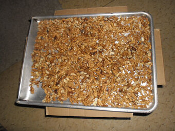 Vlašské ořechy - Jádra - 1