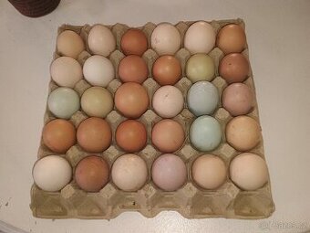 Domácí vajíčka