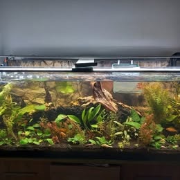Akvárium 300 l