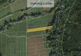 Prodej louky v k.ú. Domoušice - 1